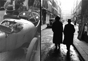 FredStein.paris_dog_jewish_quarter
