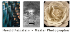 2014_Post-Master.feinstein