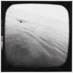 traub_charles_294_1981f